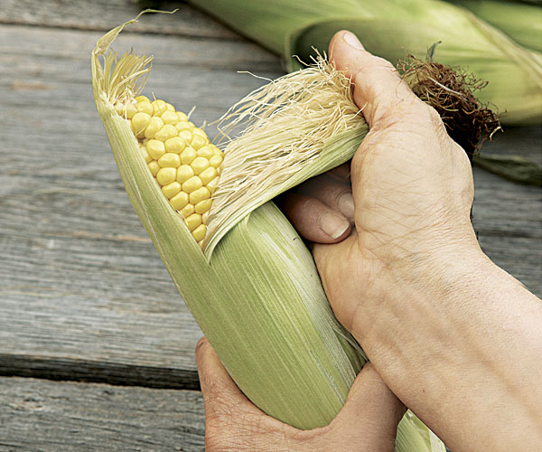 051130051-02-how-to-shuck-corn_xlg