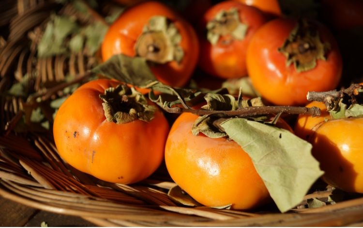 خرمالو واقعاً بی‌خطر است؟ حقیقتی که همه از شما پنهان کرده‌اند!